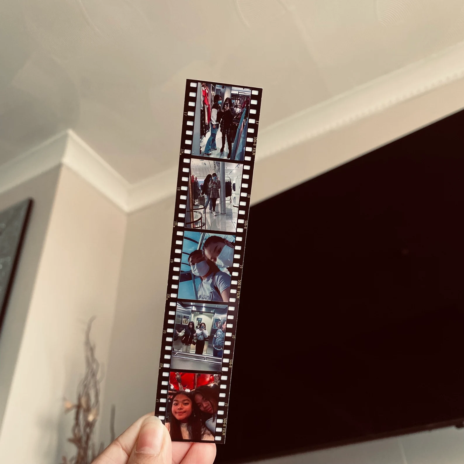 Film Strip