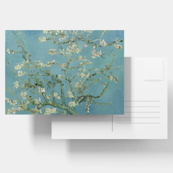 Custom Photo Postcards Set of 6